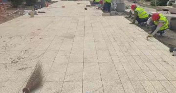 惠州黄金麻荔枝面地铺案例