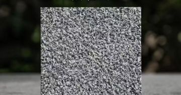 惠州 芝麻黑荔枝面