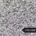 惠州 芙蓉白（芝麻白大花）火烧面