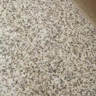 惠州 黄金麻中黄光面