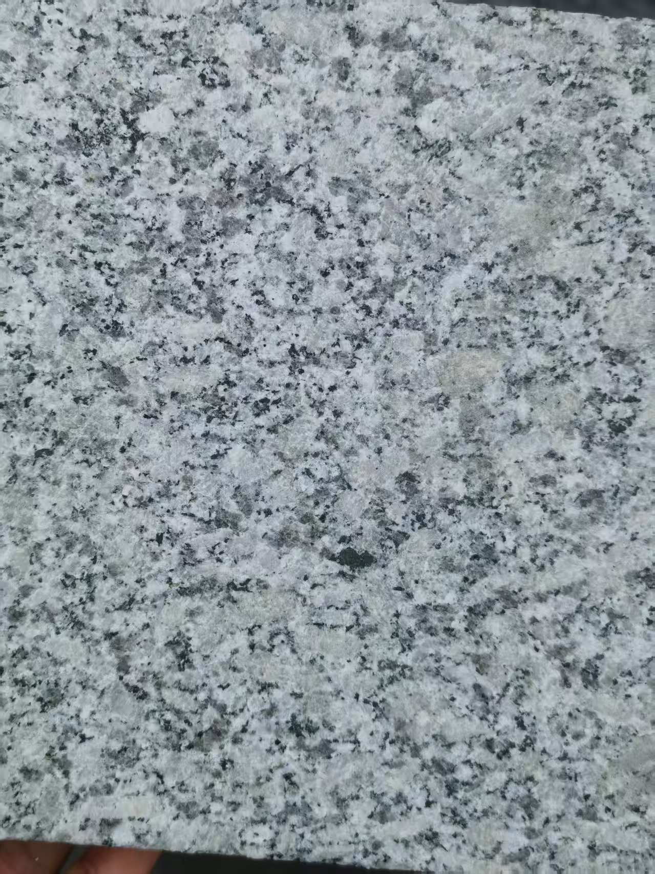 惠州 芙蓉白火烧面