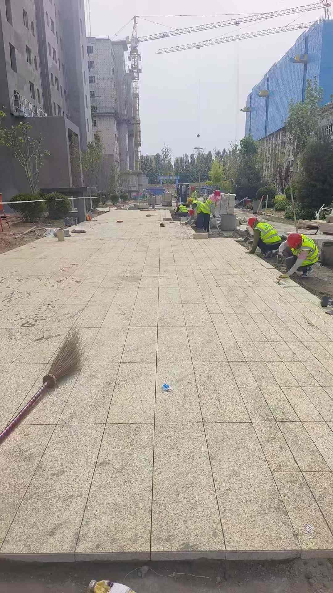 惠州黄金麻荔枝面地铺案例