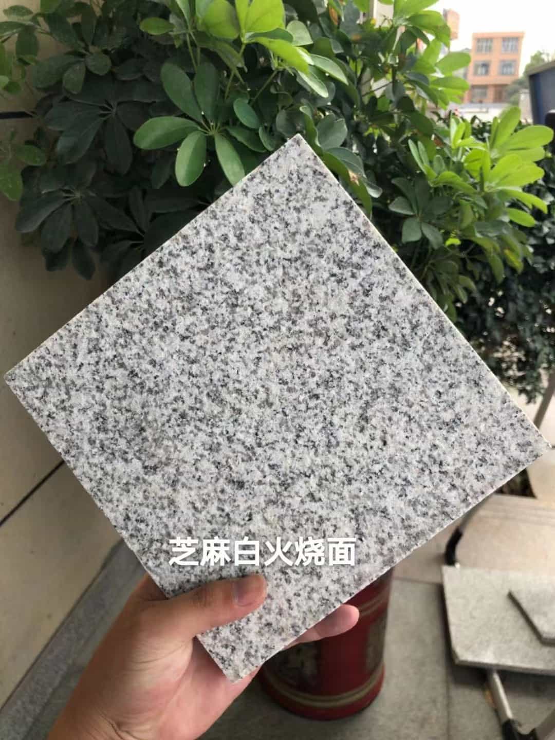 惠州芝麻白火烧面地铺